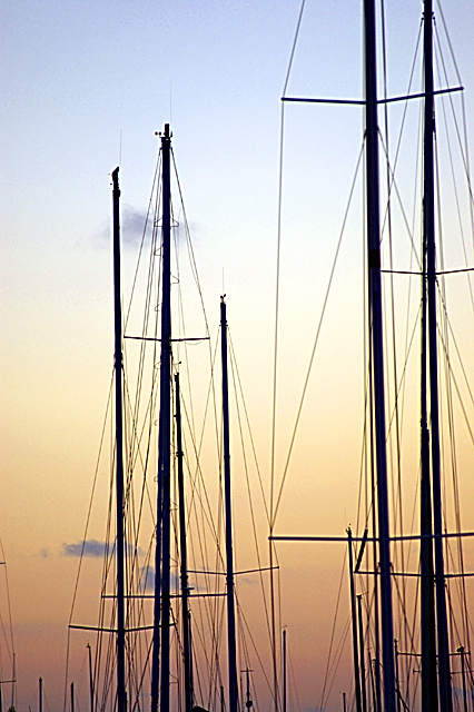 Masts in the Sunrise