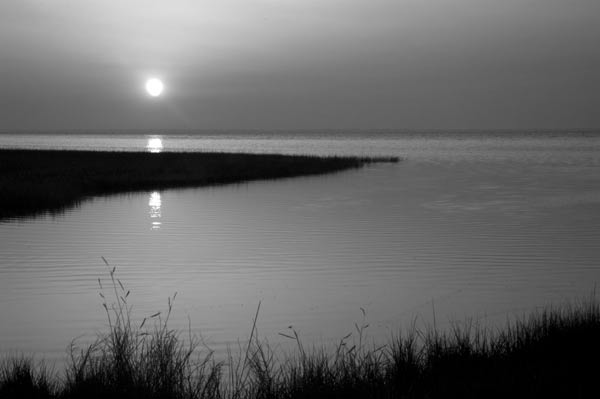 day-19-sunrise.jpg