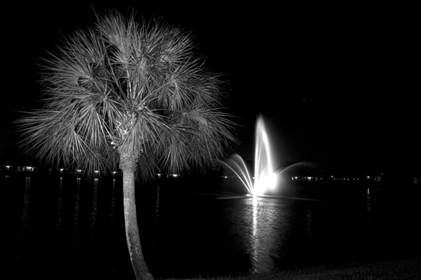 day-26-nightime-lightpainti.jpg