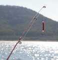 Fishing@Eildon.jpg