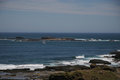 PhillipIsland1.jpg