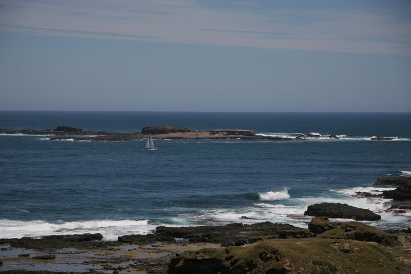 PhillipIsland1.jpg