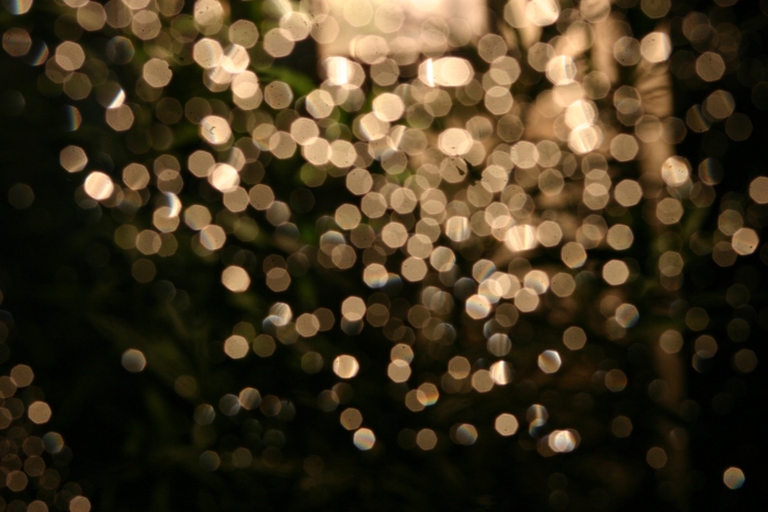 Small Bokeh filter.jpg