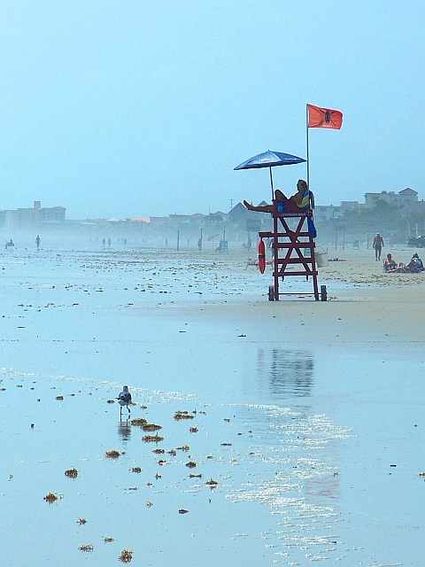 lifeguard