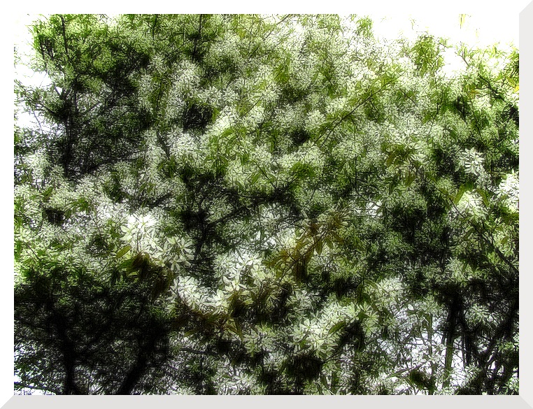 March PP2pjotre7