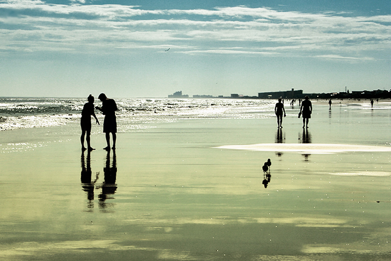 Contre Jour
