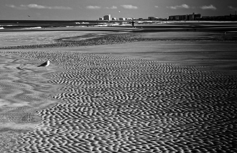 Ripple Beach BW