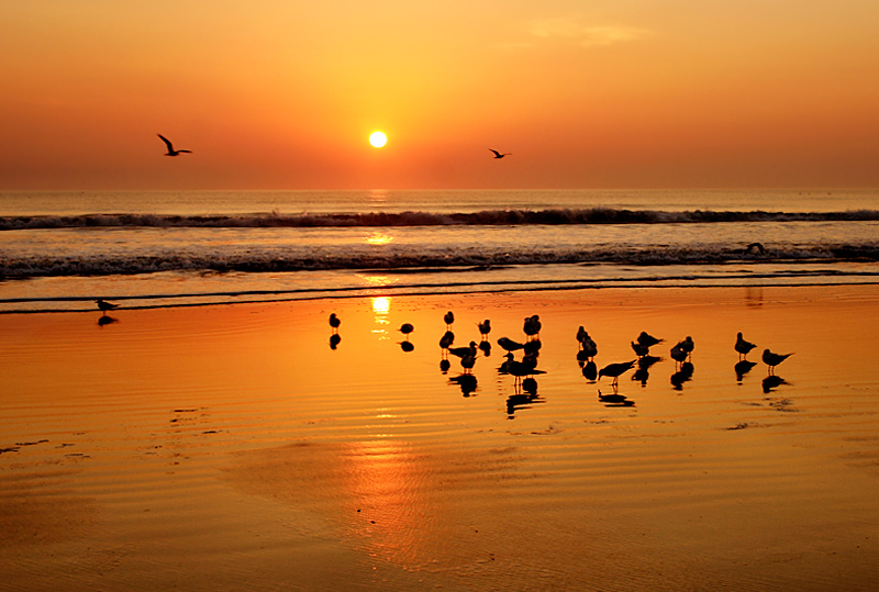 Dawn of a Peachy Day copy