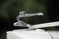 The Wedding Car.jpg