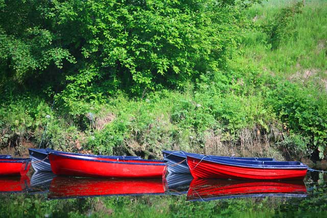 Boats-3.jpg