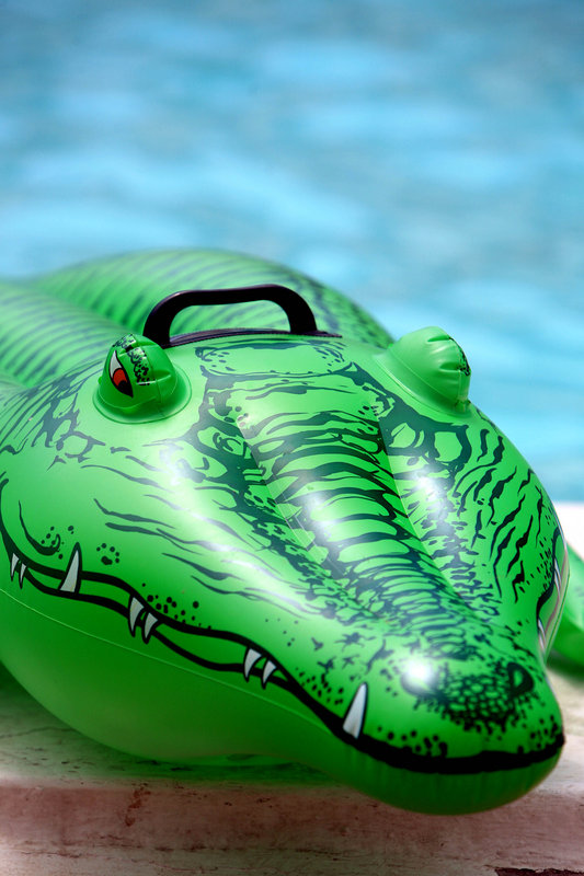 Croc.jpg