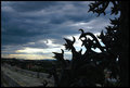 Mighty sky