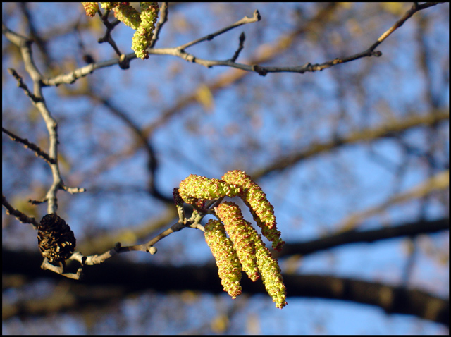 Spring is yet to come