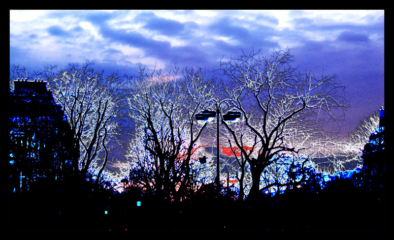 crepuscule