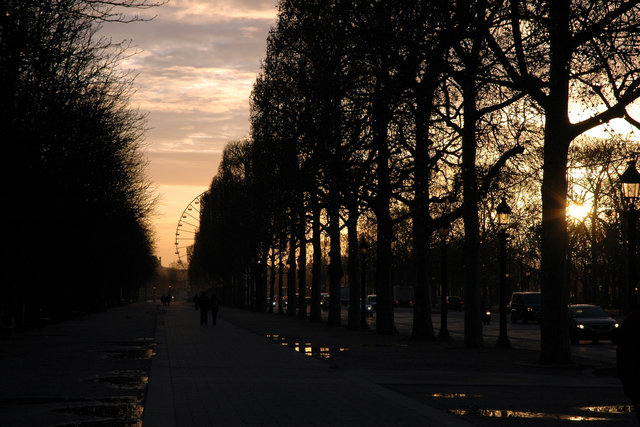 Morning Walk near Champs Elysee