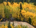 Cripple Creek 1