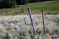 fence