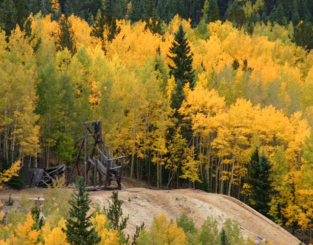 Cripple Creek 1