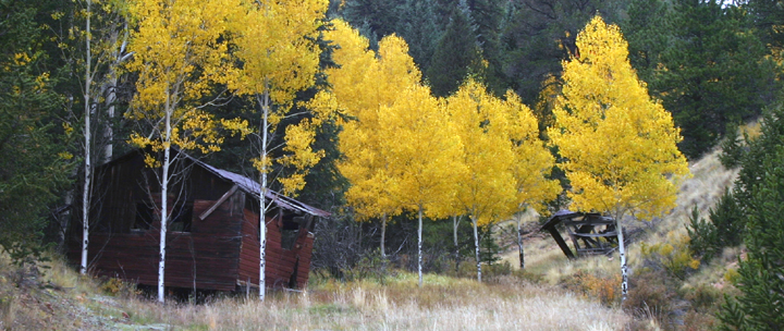 Cabin