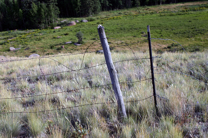 fence