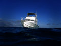 the coral treasure small.jpg