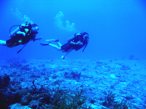 scuba levels.jpg