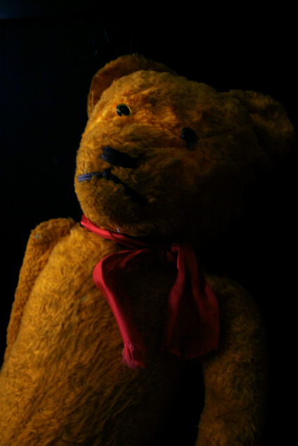 Teddy