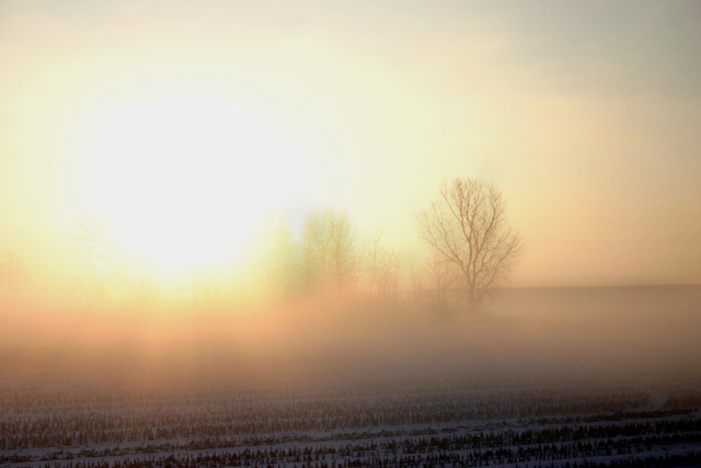 The Farmer's Morning