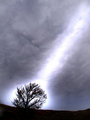 46697035-L.jpg