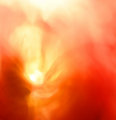 47924062-L.jpg