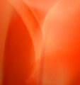 47924316-L.jpg