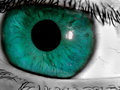 DSCN0019.jpg