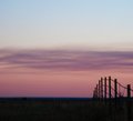 41546851-L.jpg