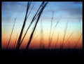 ...At Sunset