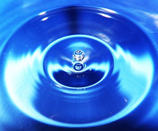 42017466-M.jpg
