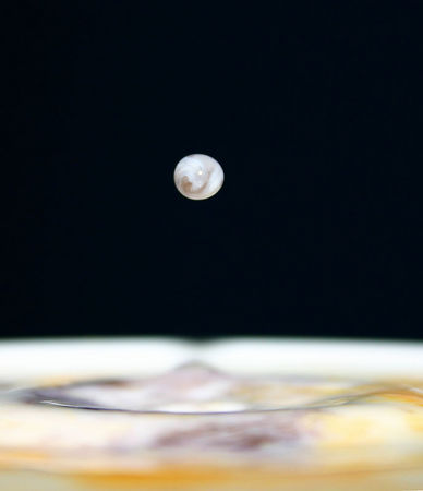 44018222-M.jpg