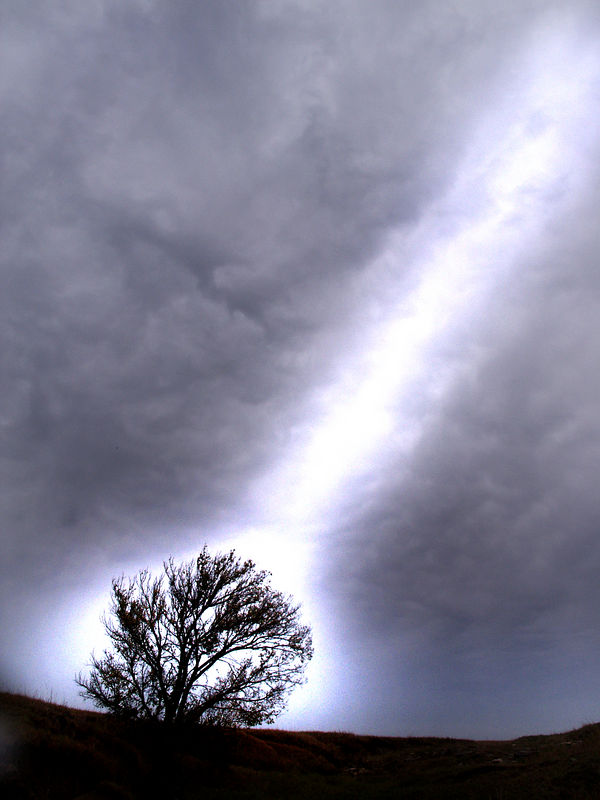 46697035-L.jpg