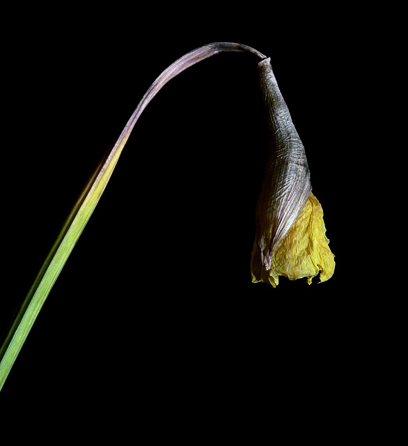P1050216.jpg