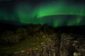 Green night