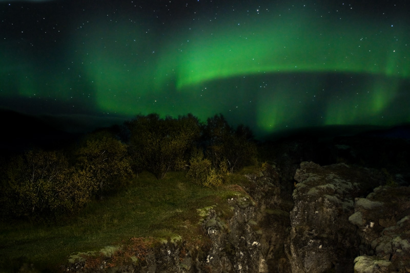 Green night