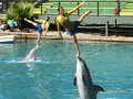 Balancing Act.jpg