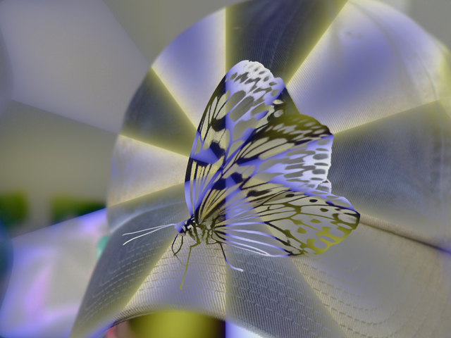 Rice-Paper-Butterfly.jpg