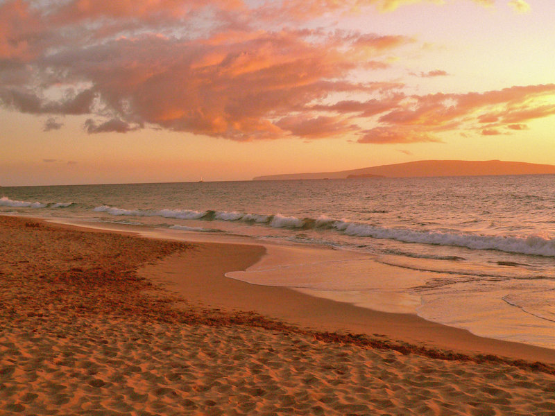 MAUI-BEACH.jpg