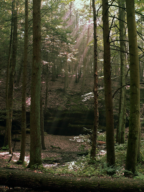 Conkles-Hollow
