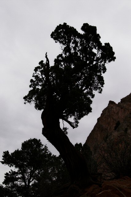 PICT0072-01.jpg