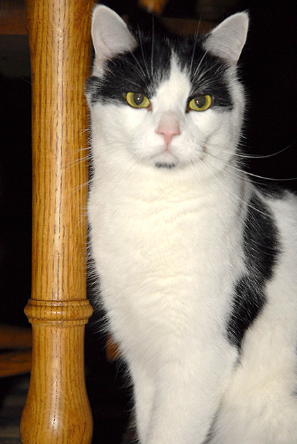 Hobbes