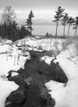 lakemi.jpg