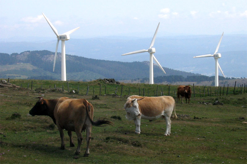 Tierra de Contrastes