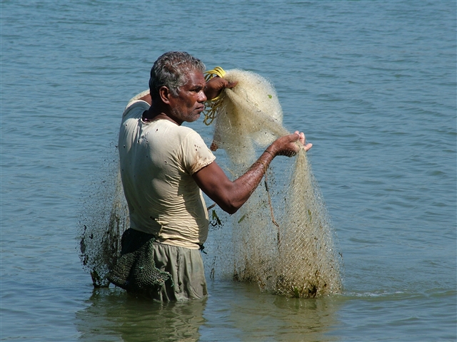 Fisherman
