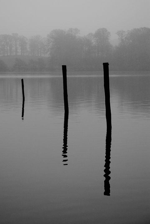 Posts in the Mere